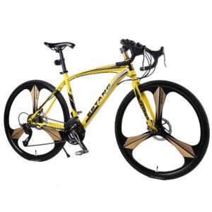 Complete Customized Eurobike Road Bike Carbon Fiber Steel 700c