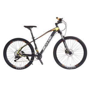 Light Weight Mountain Bike Carbon Fiber 29 for Adults