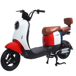 Electric Bicycles Come From China's Two Wheeled Urban Generation Two Wheeled Scooters and Electric Scooters