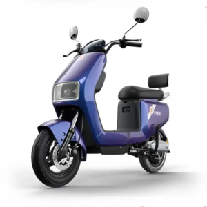 60v 20ah Adult Electric Bike Electric Bicycle for Adults