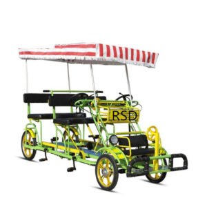 E Family Electric Cargo Bike Pedal Hub Beer Quadricycle for Sale with the 4 Passengers Cargo Bike China