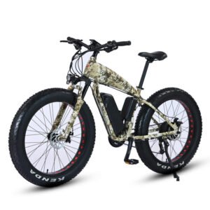 Factory Wholesale Pedal Assisted Electric Bicycle / Suspension Ride on Electric Cycle/ 48v Battery Ebike for Men