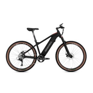 China Electric Bicycle Bike Cheap Price E300-Torque 36V13A350W Power Optional Electric Mountain Bike Hybrid Bike