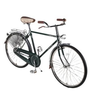 14 Inch City Bike for Family City Bike Sharing 29 Inch 1 Gear With Careers Multiple Speed
