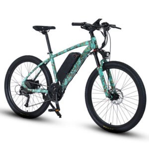 Good Quality Custom Carbon E Road Bike Battery 36v