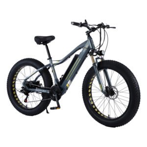 New Style Electric Mountain Bike Steel Frame Electric Bike Adult 48V 300W E-bike Fatbike Electric Hybrid Bike