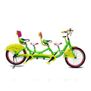 22 Inch Double Seats Surrey Bikes for 4 Person/2 Person tandem Bike/electric Surrey Bike