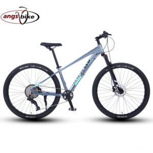 Bicystar Made Alloy Mountain Bicycles/29 Inch Bicycle Mountain Bike for Sale/24 Speed Mountain Bike Big Wheels Bicicleta Aro 29
