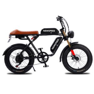 High Quality 13AH 48V Aluminum Alloy Disc Double Lithium Battery Electric Bicycle Rear Hub Motor Brushless 750W Pedal-Assist