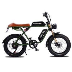 High Quality 13AH 48V Aluminum Alloy Disc Double Lithium Battery Electric Bicycle Rear Hub Motor Brushless 750W Pedal-Assist