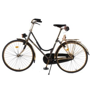 Bike Classic Vintage Aluminum Alloy Rim Dutch Bike Bike Retro Vintage on Sale