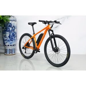 Factory Price KRISTALL Electric Bicycle Aluminum Alloy E Bike Frame 29 Inches MTB 350W Electric Bike