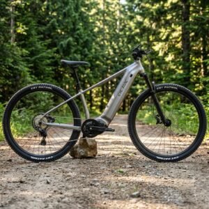EM5 Electric MTB Cycle 29er 500W Bafang Mid Motor 48V Lithium Battery Full Suspension Aluminum Frame Mountain Bike Ebike