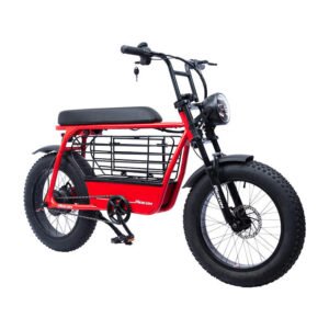 48V 12AH/15AH Battery Throttle & Pedal Assist Electric Bike 20'' 4.0 Fat Tire Electric Bicycle 750w 1000w Motor Bicycle