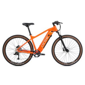 WITTER E300 Ebike Aluminium Electric Bike MTB Speed-48V500W13A Rear Hub Motor Electric Mountain Bicycle
