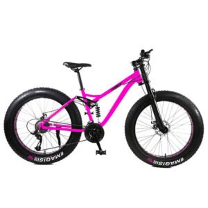 Popular Show on Beach New Model Big Fat Tyre Tire Tires Cycle Bicycle Without Gare Under 2000 for Men